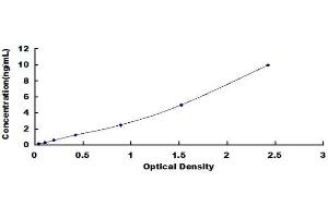 Typical standard curve (SCARB1 ELISA 试剂盒)