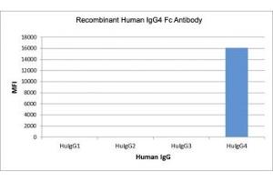 Recombinant Human IgG4 Fc antibody specifically reacts to hIgG4.