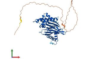 Protein Structure (PS) image for Integrin-Linked Kinase-Associated Serine/threonine Phosphatase 2C (ILKAP) (AA 1-392) protein (His tag) (ABIN7548498)