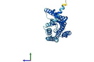 Protein Structure (PS) image for Olfactory Receptor, Family 4, Subfamily D, Member 1 (OR4D1) (AA 1-310) protein (His tag) (ABIN7550085)