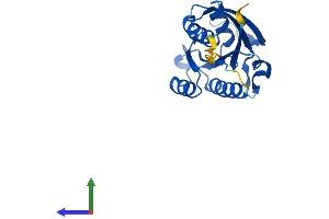 Protein Structure (PS) image for NFKB Inhibitor Interacting Ras-Like 2 (NKIRAS2) (AA 1-191) protein (His tag) (ABIN7548805)