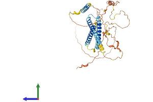 Protein Structure (PS) image for Chromosome 19 Open Reading Frame 46 (C19orf46) (AA 1-388) protein (His tag) (ABIN7559375)