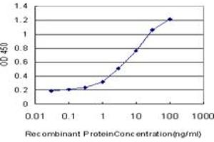 Detection limit for recombinant GST tagged SGK is approximately 0. (SGK1 抗体  (AA 1-90))