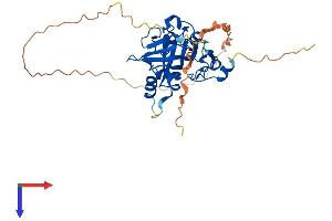MPG Protein (AA 1-333) (His tag)