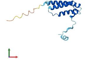 Protein Structure (PS) image for NADH Dehydrogenase (Ubiquinone) 1 alpha Subcomplex, 6, 14kDa (NDUFA6) (AA 1-131) protein (His tag) (ABIN7560593)