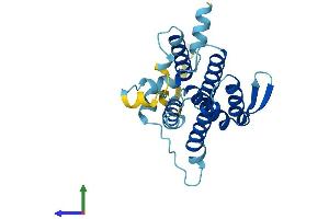 Protein Structure (PS) image for Der1-Like Domain Family, Member 3 (DERL3) (AA 1-228) protein (His tag) (ABIN7561124)