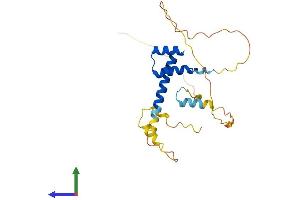 Protein Structure (PS) image for NK3 Homeobox 1 (NKX3-1) (AA 1-237) protein (His tag) (ABIN7556806)