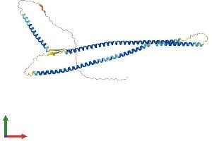 Protein Structure (PS) image for Keratin 23 (KRT23) (AA 1-422) protein (His tag) (ABIN7560470)
