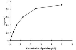 PRKX Protein (AA 1-358) (GST tag)