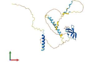 Protein Structure (PS) image for Survival of Motor Neuron 1, Telomeric (SMN1) (AA 1-288) protein (His tag) (ABIN7563565)