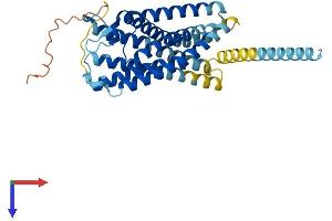 CXCR7 Protein (AA 1-362) (His tag)