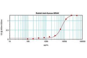 Image no. 1 for anti-Chemokine (C-X-C Motif) Ligand 14 (CXCL14) antibody (ABIN465240) (CXCL14 抗体)