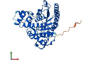 Protein Structure (PS) image for Histone Deacetylase 8 (HDAC8) (AA 1-377) protein (His tag) (ABIN7559917)