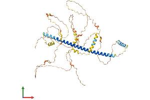 Protein Structure (PS) image for CAMP Responsive Element Binding Protein 3-Like 1 (CREB3L1) (AA 1-519) protein (His tag) (ABIN7565266)