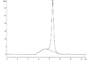 Size-exclusion chromatography-High Pressure Liquid Chromatography (SEC-HPLC) image for Interleukin 1 Receptor, Type I (IL1R1) (AA 20-338) protein (His tag) (ABIN7274909)