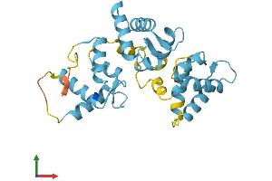 Protein Structure (PS) image for Calbindin 2 (CALB2) (AA 1-271) protein (His tag) (ABIN7552757)