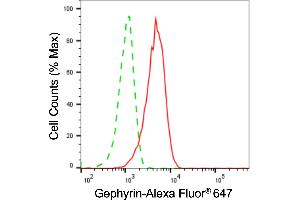 Flow cytometric analysis of Gephyrin expression in HAP-1 cells using Gephyrin antibody (ABIN7798713), 1:2,000). (Gephyrin 抗体)