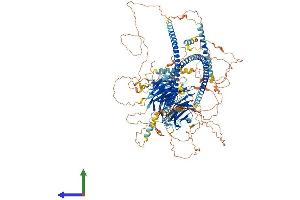 Protein Structure (PS) image for Sperm Associated Antigen 9 (SPAG9) (AA 1-1321) protein (His tag) (ABIN7554276)