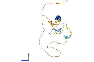Protein Structure (PS) image for Geminin Coiled-Coil Domain Containing (GMNC) (AA 1-334) protein (His tag) (ABIN7547907)