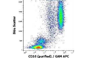 Flow cytometry surface staining pattern of human peripheral blood stained using anti-human CD16 (MEM-154) purified antibody (concentration in sample 2 μg/mL) GAM APC. (CD16 抗体)