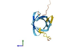 AlphaFold protein structure predicition of Mouse Recombinant Tcl1b5 Protein, UniprotID P56845
