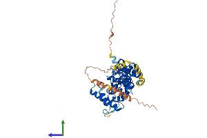AlphaFold protein structure predicition of Human Recombinant TBC1D20 Protein, UniprotID Q96BZ9