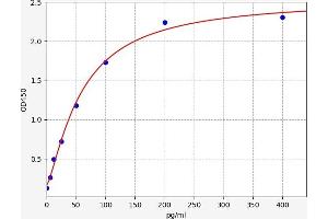 NCR1 ELISA 试剂盒