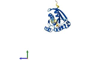 Protein Structure (PS) image for RAB9B, Member RAS Oncogene Family (RAB9B) (AA 1-201) protein (His tag) (ABIN7558638)