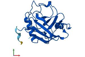 Protein Structure (PS) image for Peptidylprolyl Isomerase (Cyclophilin)-Like 1 (PPIL1) (AA 1-166) protein (His tag) (ABIN7550863)