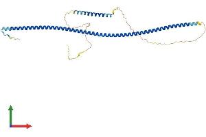 AlphaFold protein structure predicition of Mouse Recombinant Ndel1 Protein, UniprotID Q9ERR1