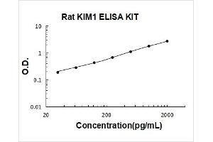 Hepatitis A Virus Cellular Receptor 1 (HAVCR1) ELISA Kit