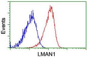 Flow cytometric Analysis of Hela cells, using anti-LMAN1 antibody (ABIN2454088), (Red), compared to a nonspecific negative control antibody, (Blue). (LMAN1 抗体)