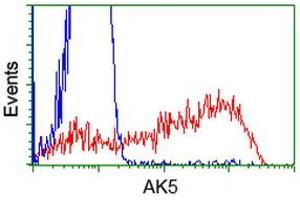 HEK293T cells transfected with either RC222241 overexpress plasmid (Red) or empty vector control plasmid (Blue) were immunostained by anti-AK5 antibody (ABIN2452724), and then analyzed by flow cytometry. (Adenylate Kinase 5 抗体)