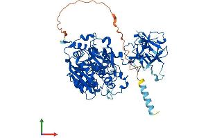 Protein Structure (PS) image for UDP-N-Acetyl-alpha-D-Galactosamine:polypeptide N-Acetylgalactosaminyltransferase 10 (GalNAc-T10) (GALNT10) (AA 1-603) protein (His tag) (ABIN7554008)