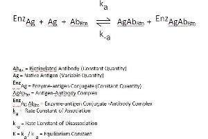 The essential reagents required for a enzyme immunoassay include antibody, enzyme-antigen conjugate and native antigen.
