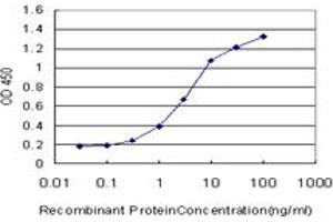Detection limit for recombinant GST tagged PCYT1A is approximately 0. (PCYT1A 抗体  (AA 2-90))