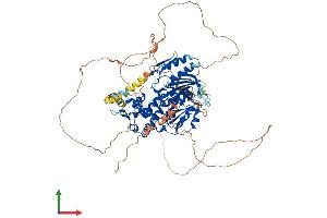 Protein Structure (PS) image for DENN/MADD Domain Containing 1B (DENND1B) (AA 1-766) protein (His tag) (ABIN7563695)
