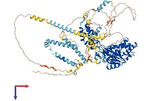 EXOSC10 Protein (AA 1-885) (His tag)