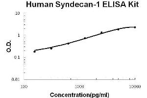 Human SDC1/Syndecan-1 PicoKine ELISA Kit standard curve (Syndecan 1 ELISA 试剂盒)