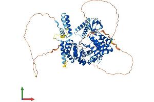 Protein Structure (PS) image for NCK Interacting Protein with SH3 Domain (NCKIPSD) (AA 1-722) protein (His tag) (ABIN7555564)