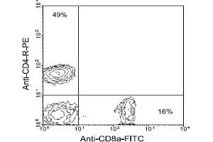 Flow Cytometry (FACS) image for anti-CD8 (CD8) antibody (FITC) (ABIN356189) (CD8 抗体  (FITC))