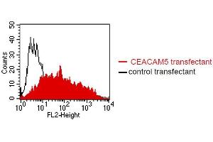 FACS analysis of BOSC23 cells using 4/3/17. (CEACAM1/5 抗体)