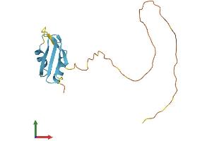 Protein Structure (PS) image for RNA Binding Motif Protein 3 (RBM3) (AA 1-153) protein (His tag) (ABIN7562709)