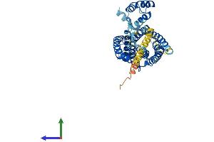 AlphaFold protein structure predicition of Human Recombinant CERS3 Protein, UniprotID Q8IU89