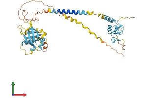 AlphaFold protein structure predicition of Mouse Recombinant Rnf215 Protein, UniprotID Q5SPX3