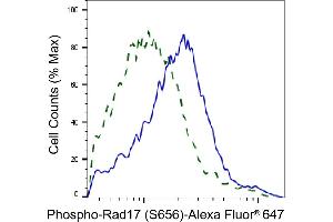Validation of Rad17 knockdown using flow cytometry. (Recombinant RAD17 抗体  (pSer656))