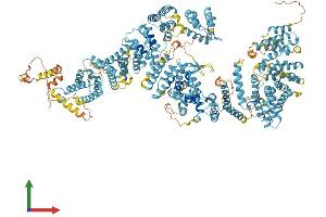 Protein Structure (PS) image for Fanconi Anemia Group A Protein (FANCA) (AA 1-1455) protein (His tag) (ABIN7553881)