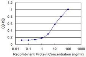 Detection limit for recombinant GST tagged C4orf43 is 0. (C4orf43 抗体  (AA 1-203))