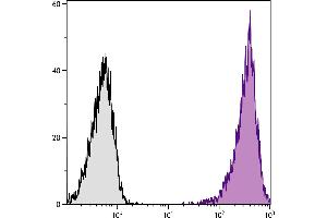 DBA/2 mouse mastocytoma cell line P815 and mB7. (CD86 抗体  (PE-Cy7))