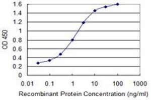 Detection limit for recombinant GST tagged GLS is 0. (Glutaminase 抗体  (AA 580-669))